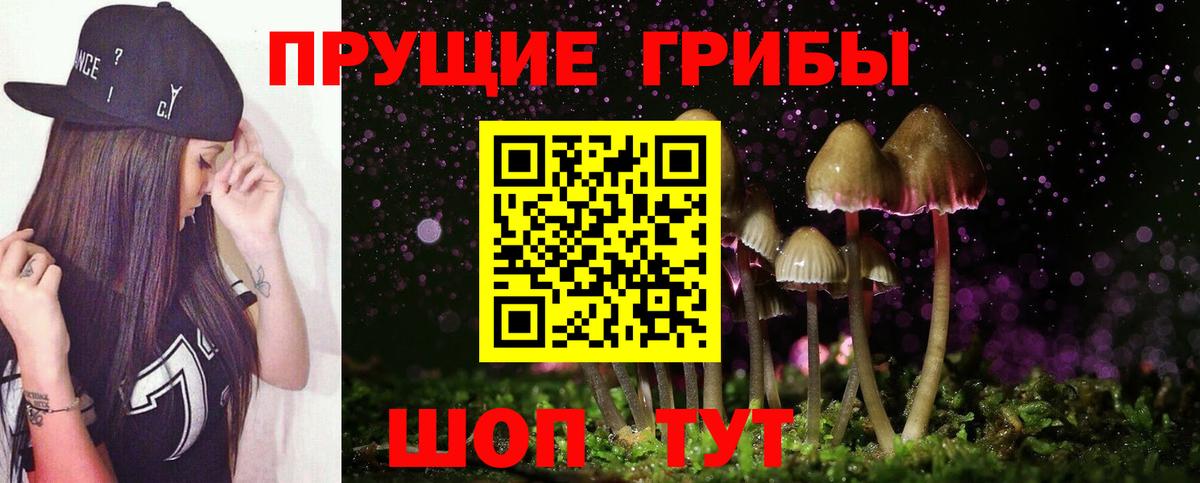 Галлюциногенные грибы Cubensis  Вход с VPN  Когалым 
